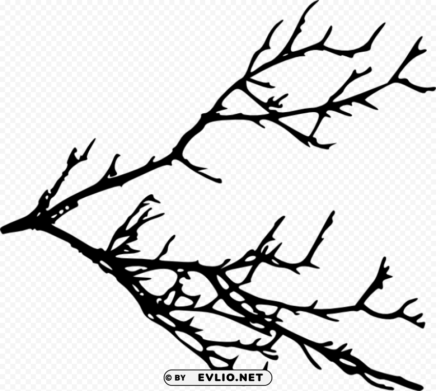 tree branches silhouette Isolated Artwork in HighResolution PNG