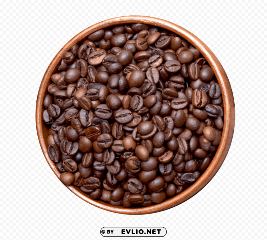 coffee beans No-background PNGs