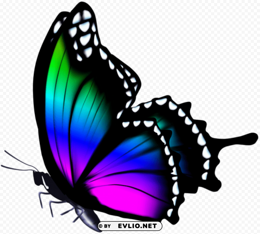 Colorful Butterfly Isolated Character With Clear Background PNG
