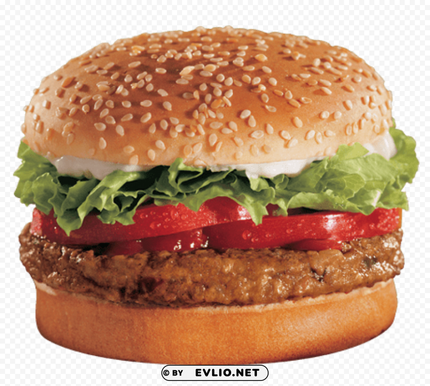 fast food burger Transparent PNG images for design PNG images with transparent backgrounds - Image ID 4c0ef506