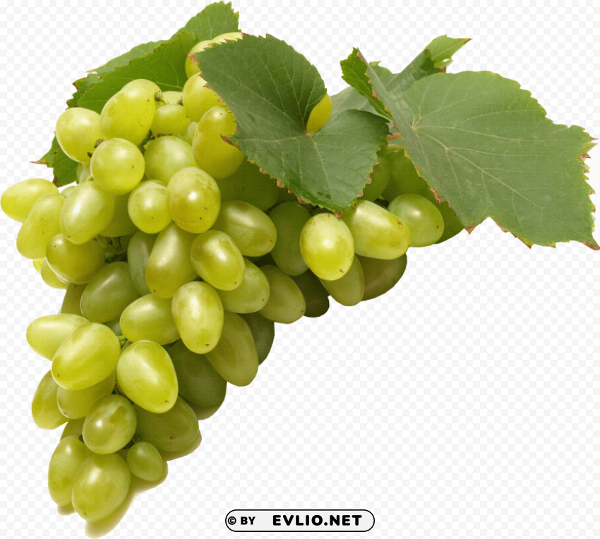 green grapes Isolated Icon in HighQuality Transparent PNG