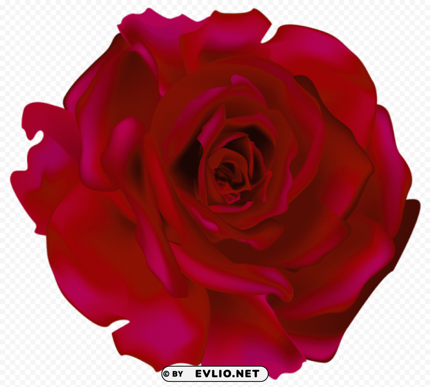 PNG image of red rose picture Isolated Subject with Transparent PNG with a clear background - Image ID 64582f2c