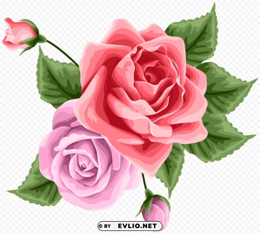 rose decoration Clear Background Isolated PNG Object