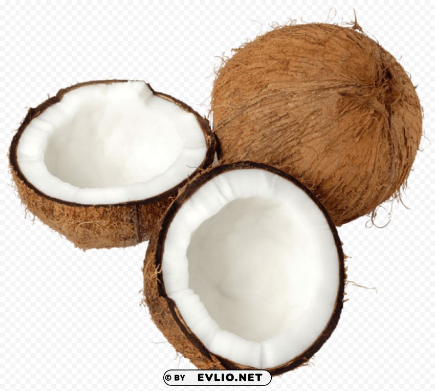 transparent coconut Clear Background PNG Isolated Graphic