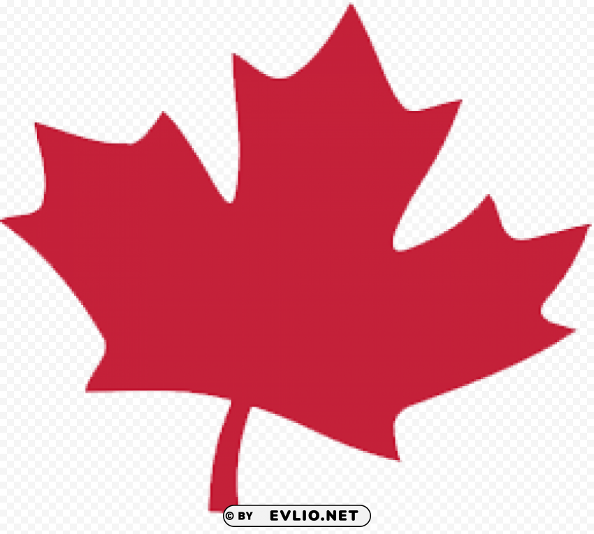 canada leaf Isolated Object on Transparent PNG