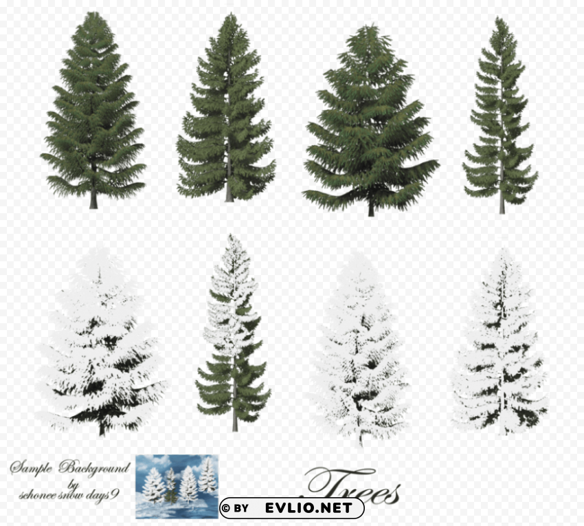 fir-tree free PNG transparent design bundle