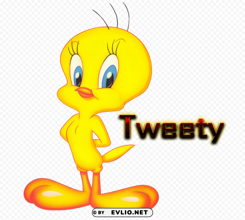 tweety PNG images with transparent elements pack