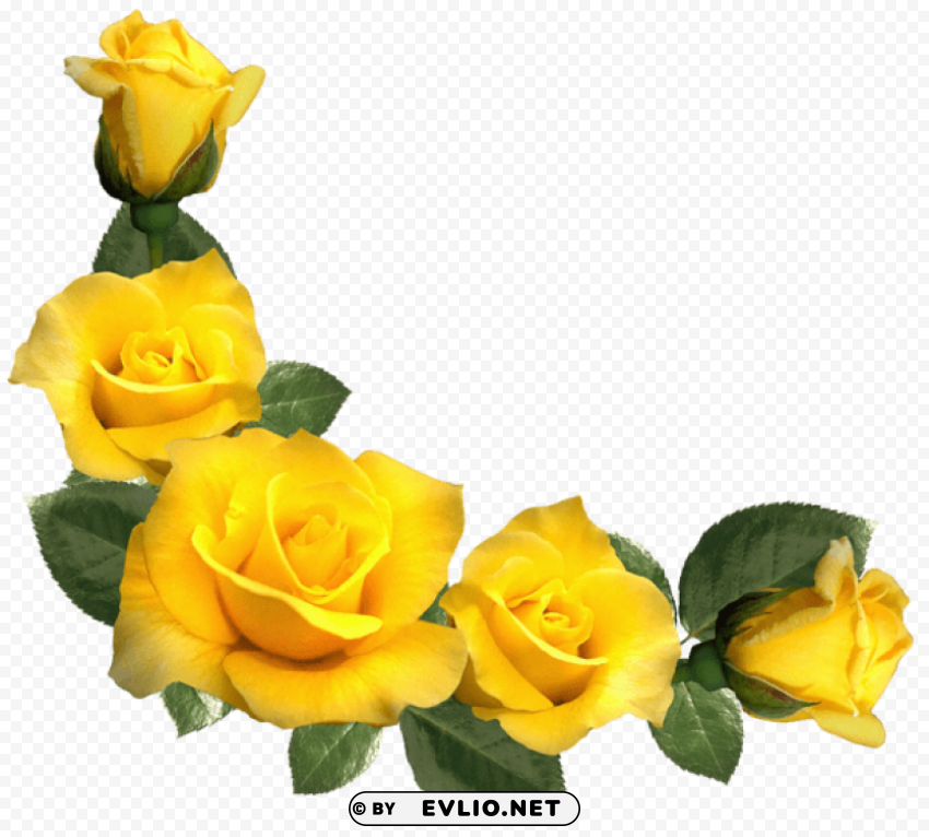 beautiful yellow roses decor Isolated PNG Item in HighResolution