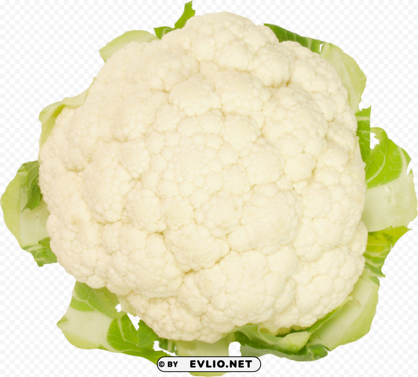 cauliflower PNG images without BG