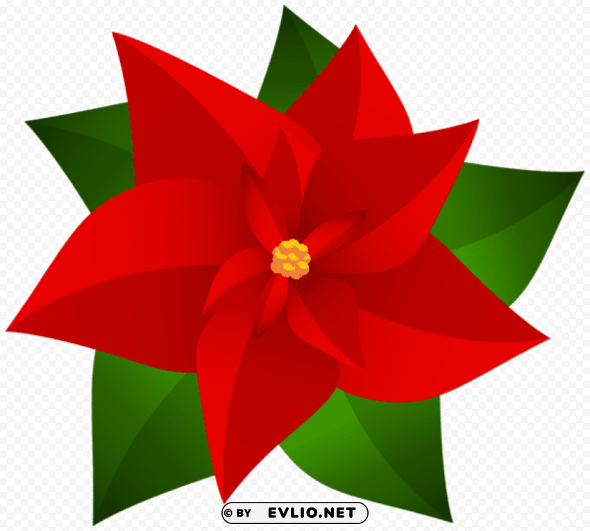 christmas poinsettia Transparent Background Isolated PNG Figure