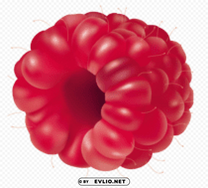 raspberry fruit Isolated Item with Clear Background PNG