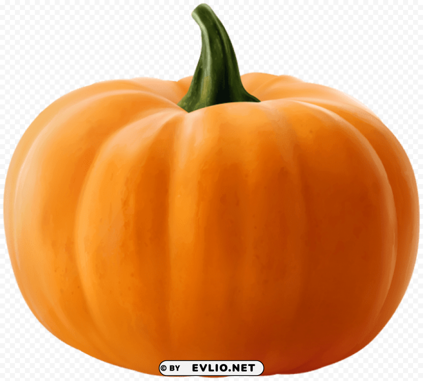 realistic pumpkin Isolated Artwork on HighQuality Transparent PNG