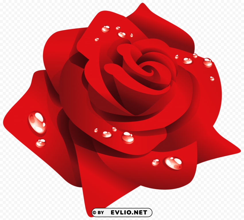 red rose with dew PNG transparent graphic