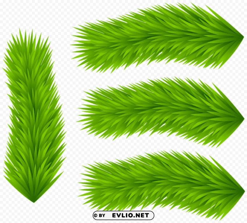 set of pine branches Isolated Design on Clear Transparent PNG
