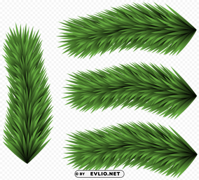set of pine branches Isolated Element in Clear Transparent PNG