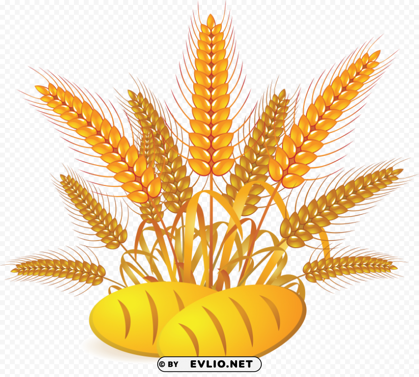 wheat Isolated PNG Image with Transparent Background
