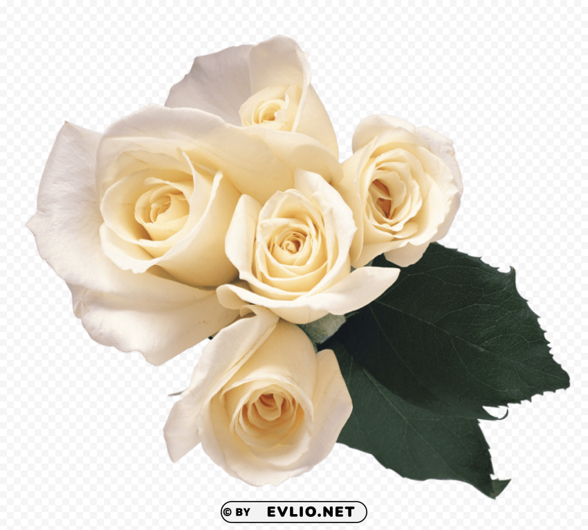 PNG image of white roses PNG art with a clear background - Image ID f882e824