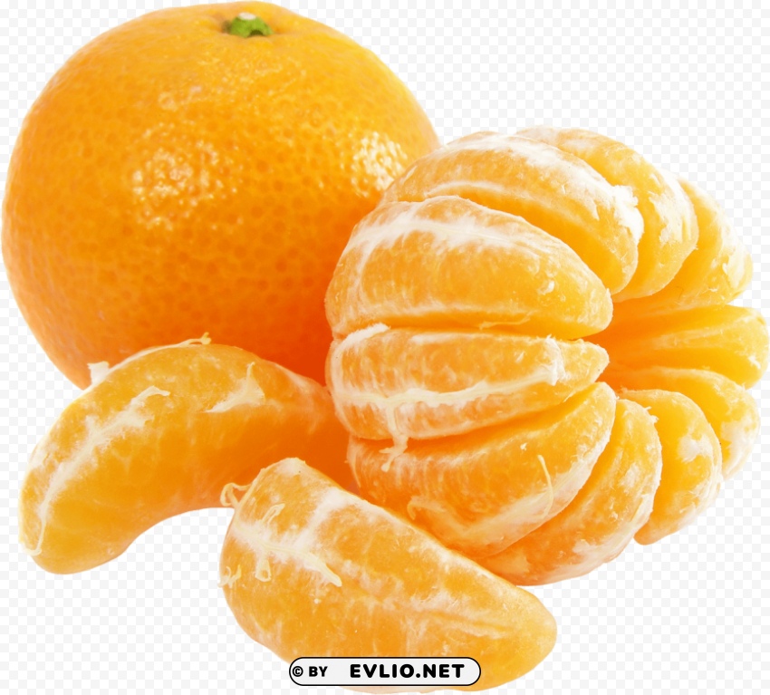 orange orange PNG transparent design diverse assortment