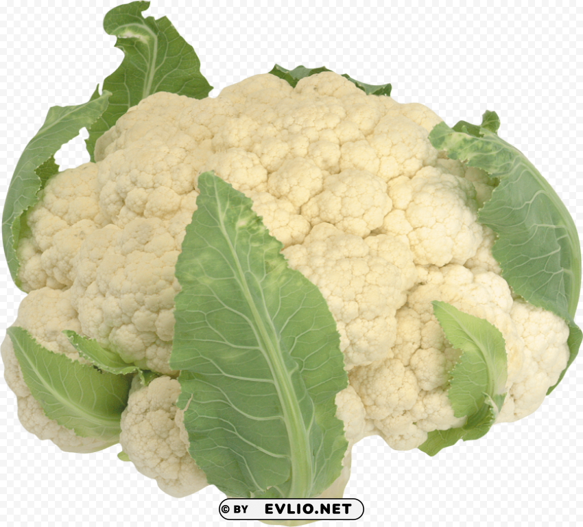 cauliflower PNG images with no attribution