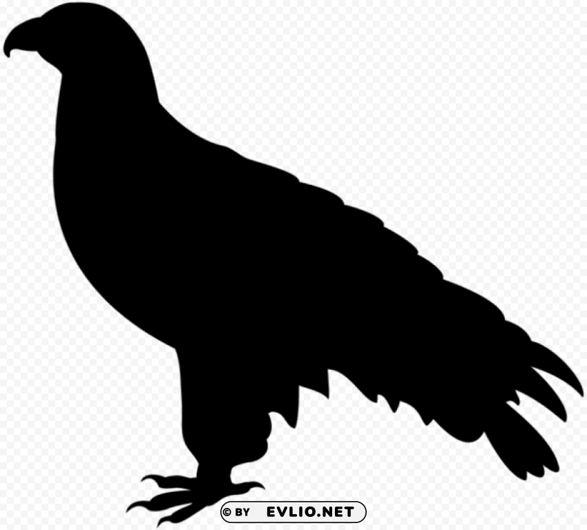 falcon silhouette Isolated Design Element on PNG