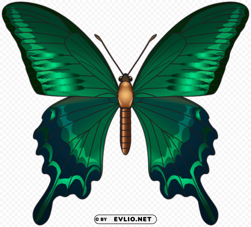 Green Butterfly PNG Isolated Object With Clear Transparency