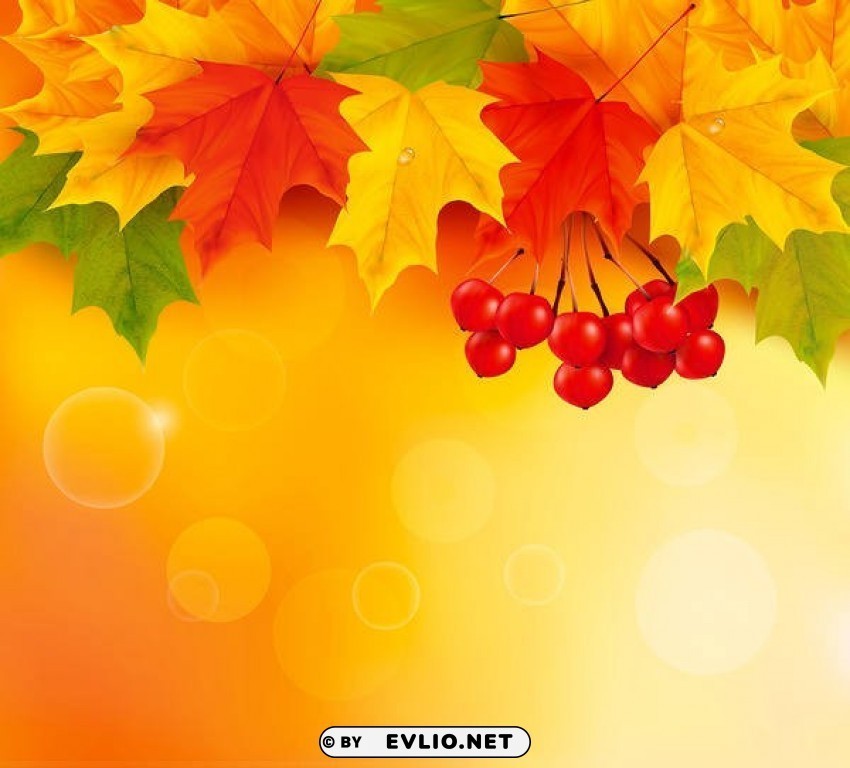 orange fall leaves PNG files with clear background collection