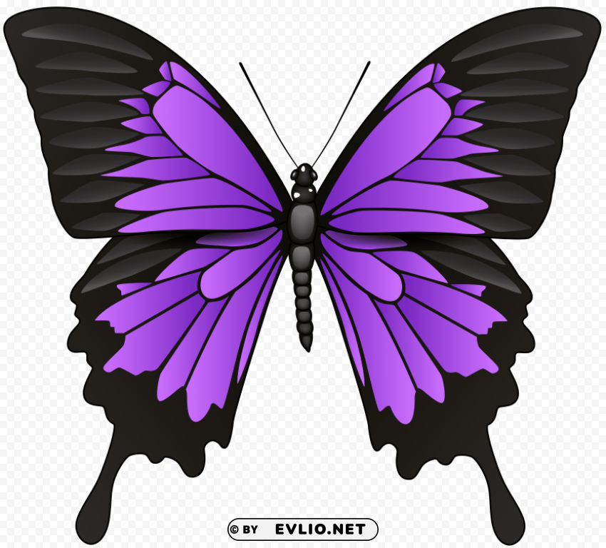 purple butterfly PNG images with cutout clipart png photo - 29ee7dc1