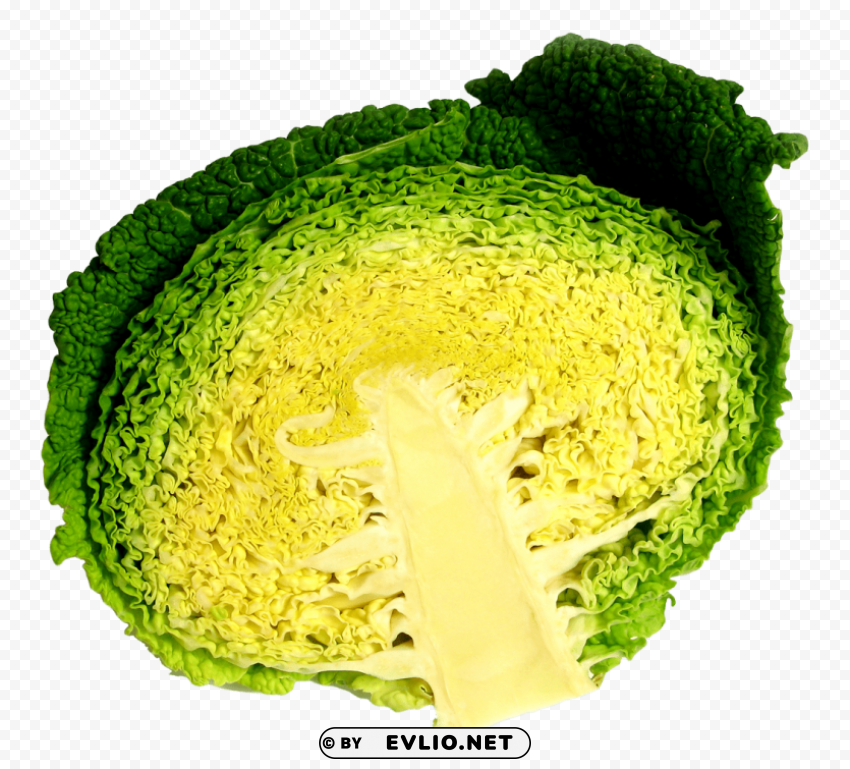 cabbage half Isolated Subject on HighQuality PNG