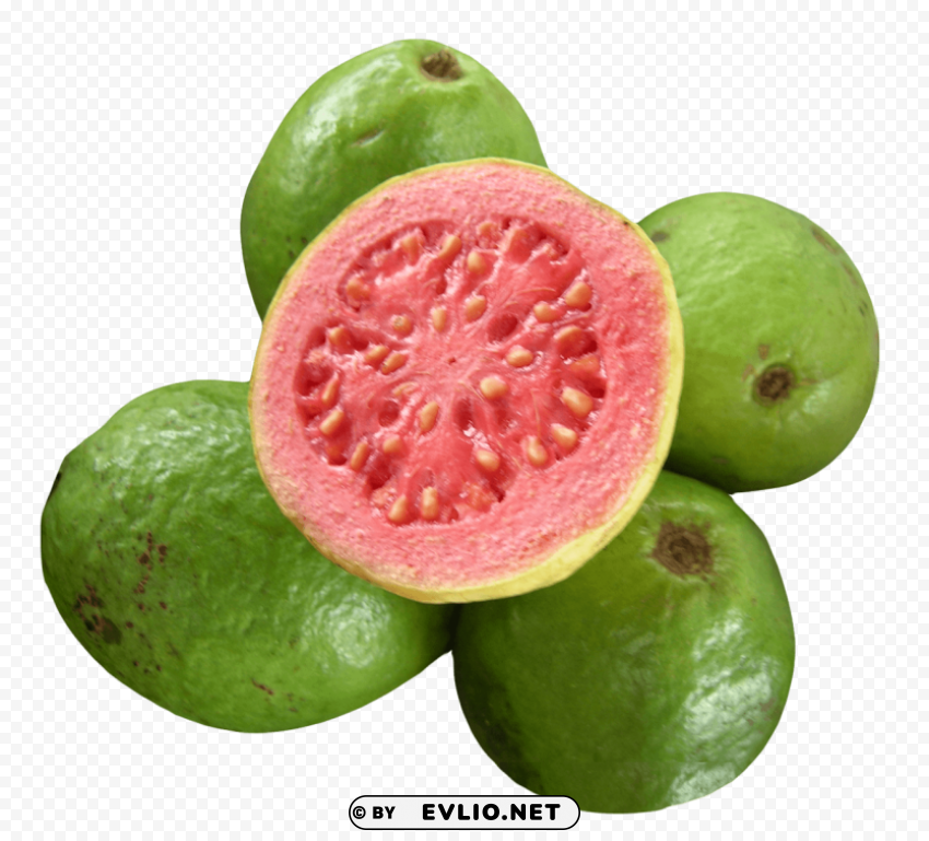 Guava PNG files with no background wide assortment
