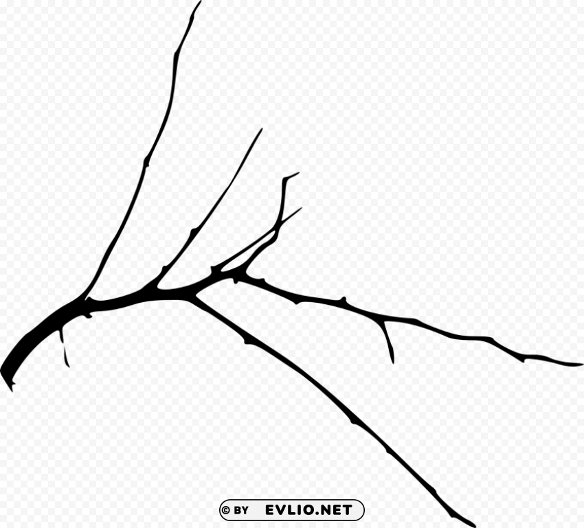 Transparent simple tree branch Isolated Graphic with Clear Background PNG PNG Image - ID bbf4cc2c