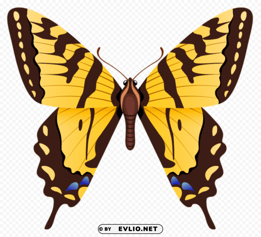 butterfly PNG Isolated Subject on Transparent Background clipart png photo - 364caf81