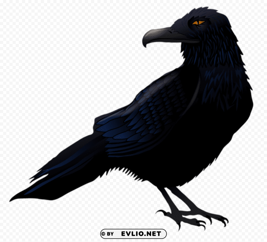 haunted raven vector PNG without watermark free