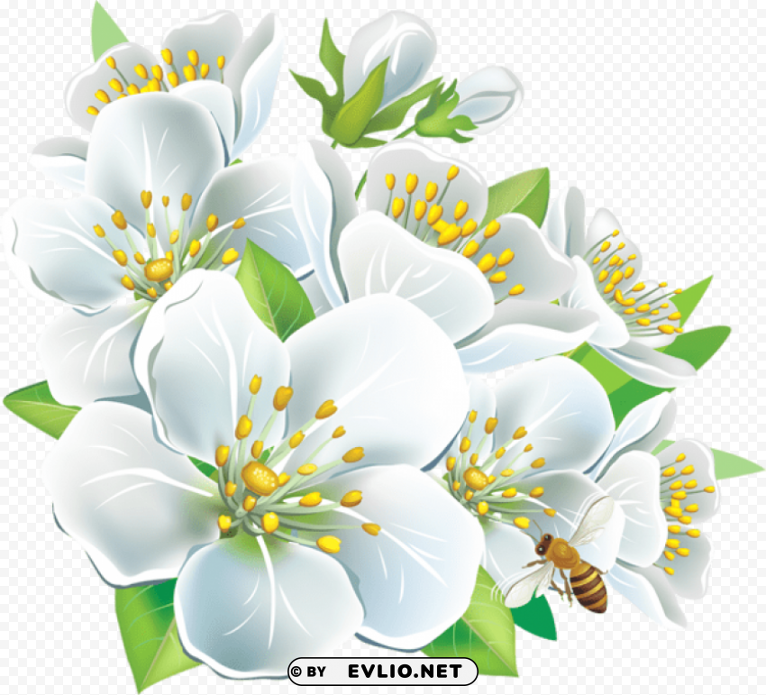 large white flowers Transparent Background Isolated PNG Design