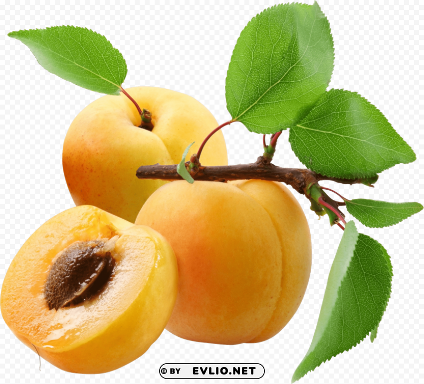 peach PNG Isolated Object with Clarity