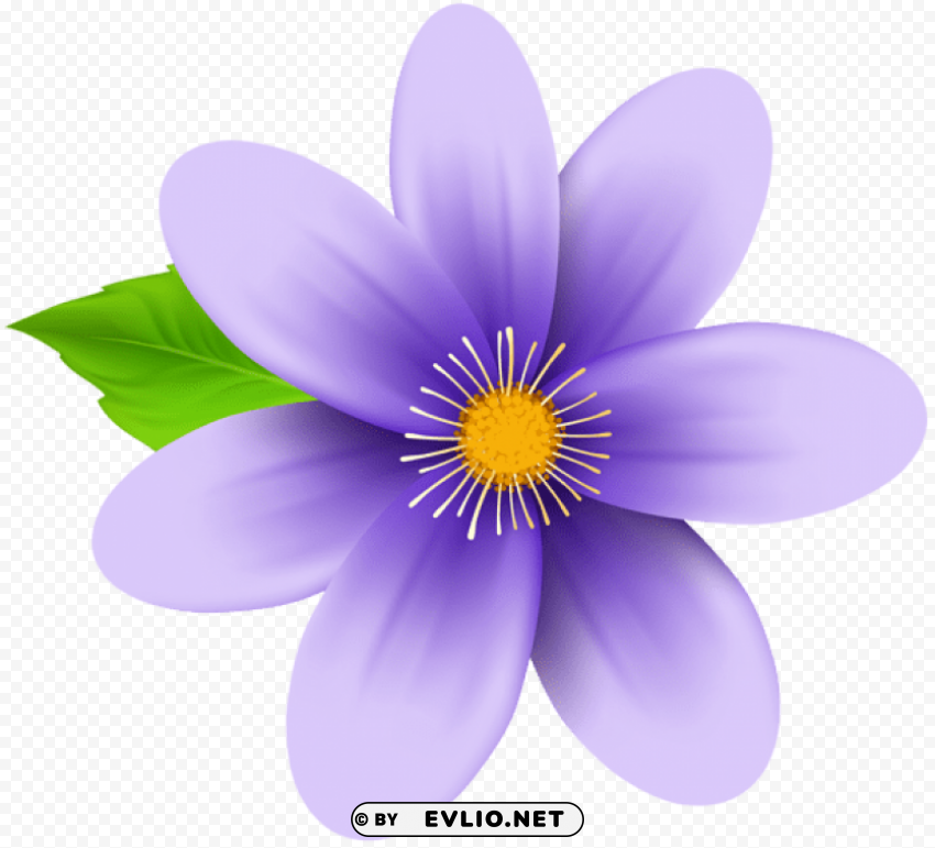 purple flower PNG clipart with transparency