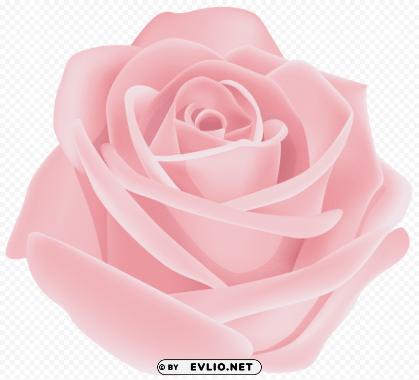 PNG image of rose flower pink transparent PNG graphics with clear alpha channel selection with a clear background - Image ID 1ad5030a