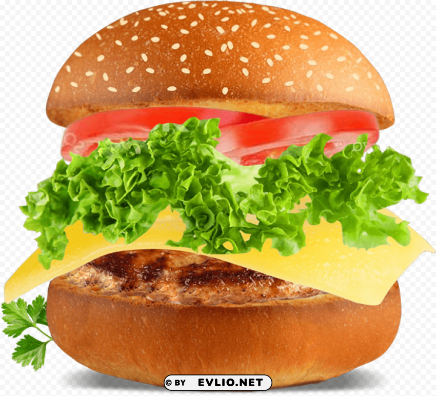 burger pics Isolated Item on HighQuality PNG