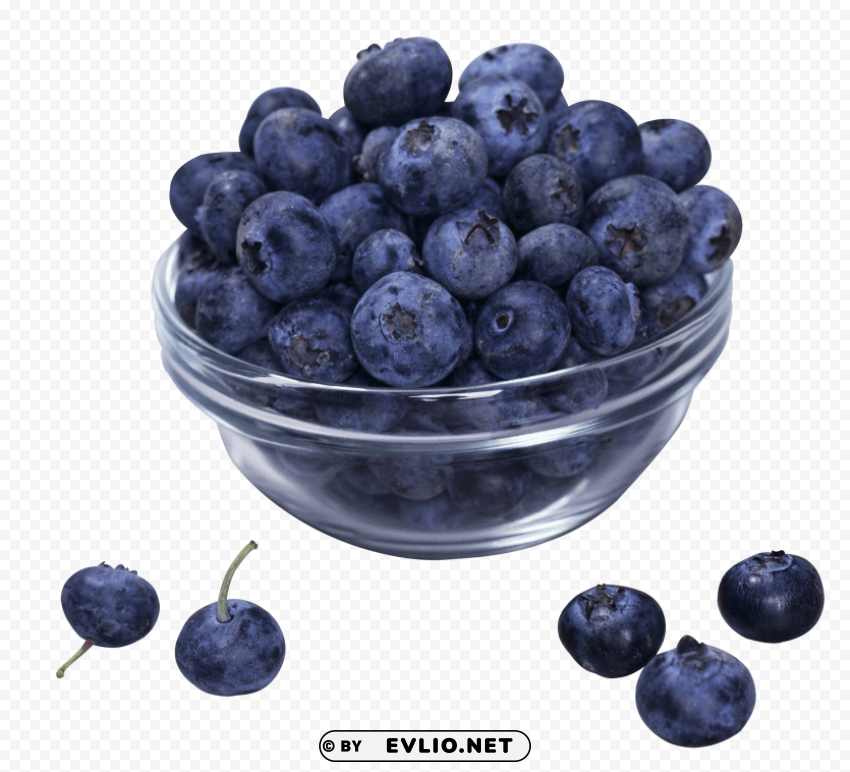 cup of blueberrys PNG with no background required
