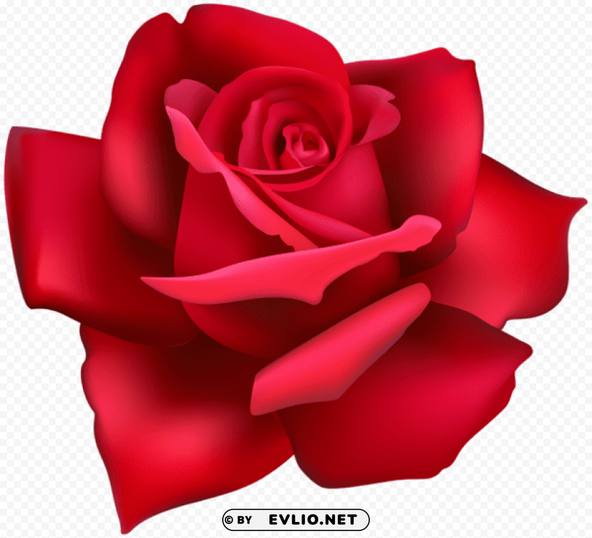 rose flower red Transparent PNG graphics library