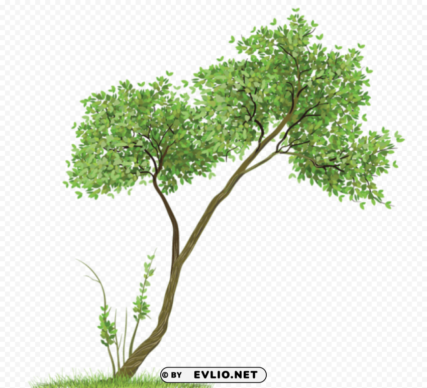 transparent tree Isolated Character in Clear Background PNG