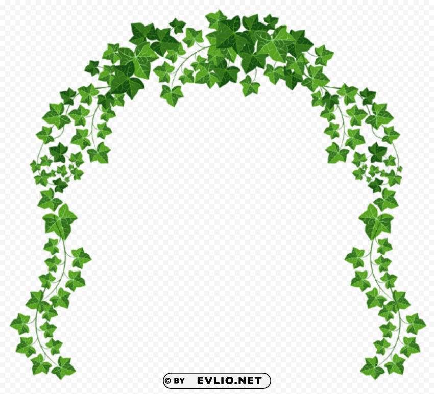 vine archpicture Isolated Illustration in HighQuality Transparent PNG