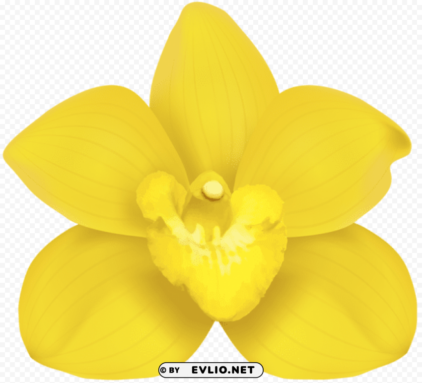 yellow orchid PNG Object Isolated with Transparency