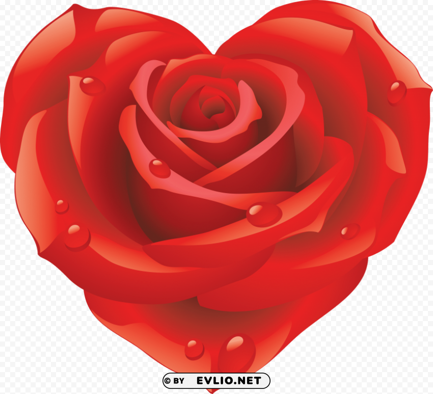 red rose Clear PNG file clipart png photo - 774a36f7