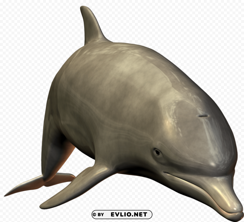 cute swimming dolphin Isolated Subject in HighResolution PNG