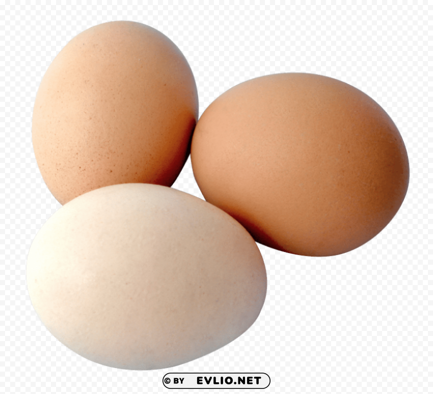eggs PNG Image Isolated on Transparent Backdrop