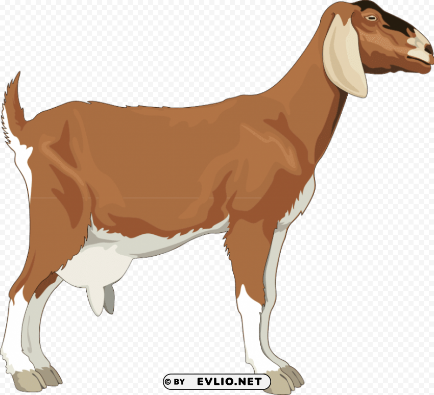 goat free desktop Transparent PNG images bulk package