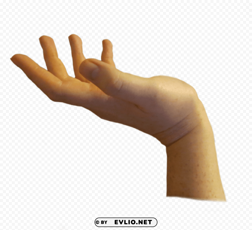 Transparent background PNG image of hands HighResolution Transparent PNG Isolated Item - Image ID fafe7d7d
