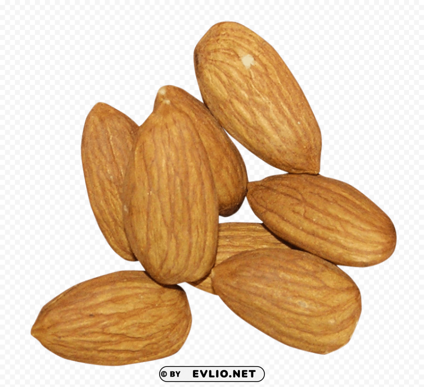 Almond Free PNG images with alpha transparency comprehensive compilation