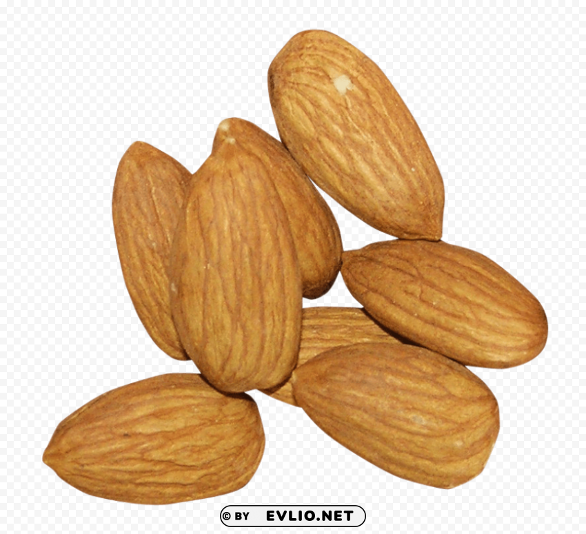 almond PNG with no bg PNG images with transparent backgrounds - Image ID cc77d449