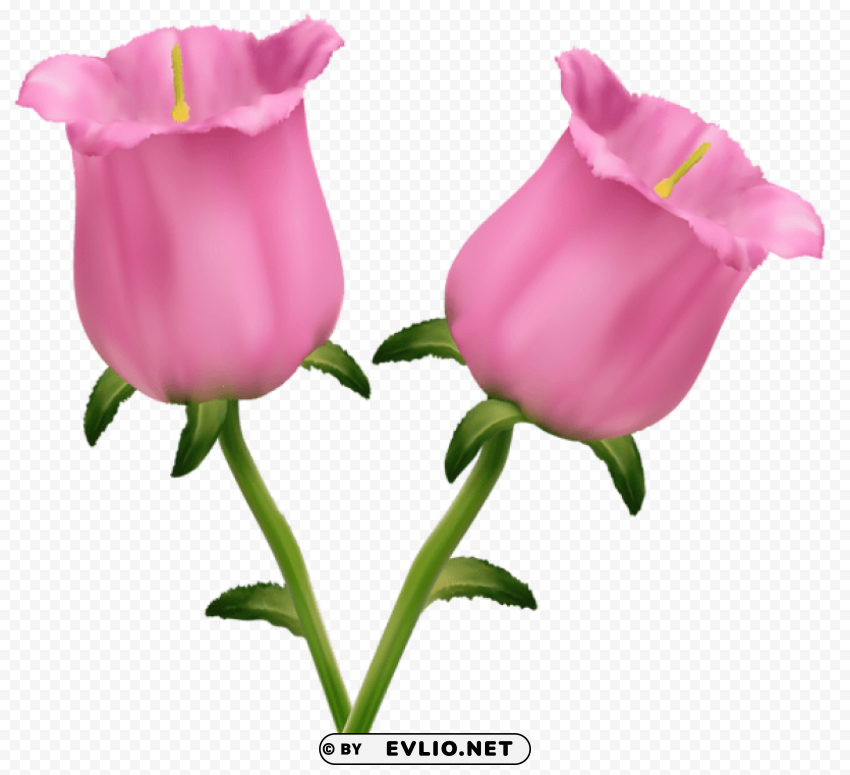 pink flowers bells Free download PNG images with alpha channel